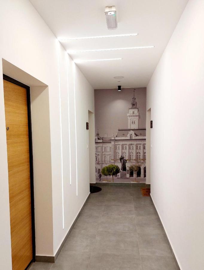 Kej Danube Lux Free Garage Apartment Novi Sad Ngoại thất bức ảnh